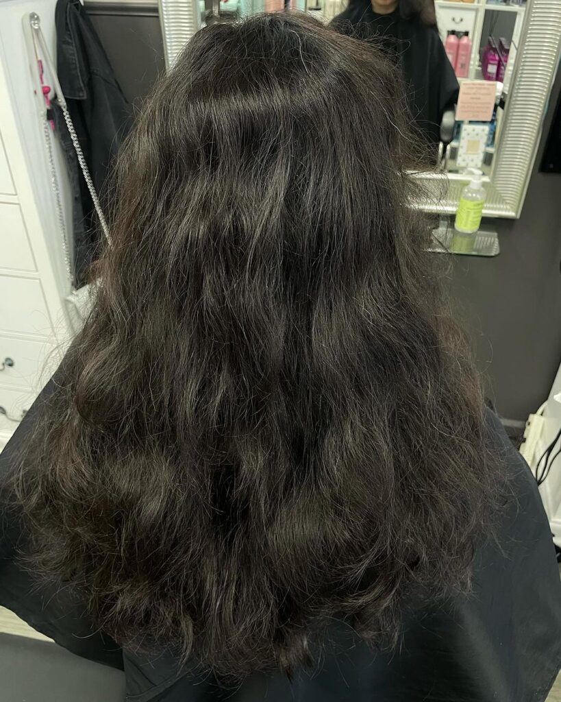 Teddy Bear Hair Color in the Bay Area at Studio W Salon